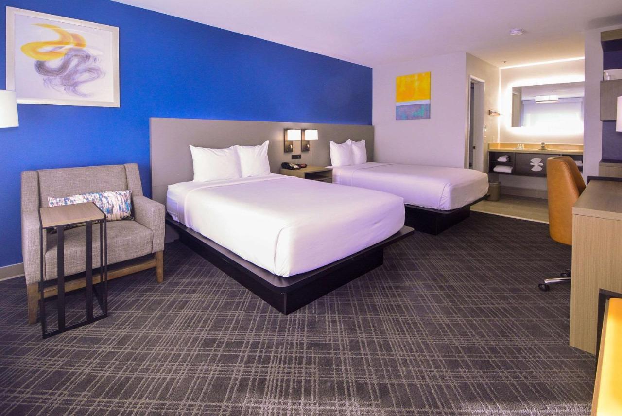 Comfort Inn Encinitas Near Legoland Buitenkant foto